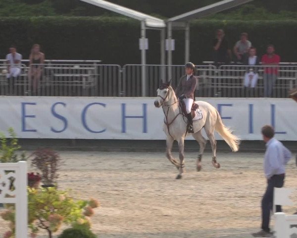 FEI Reitturnier Eschweiler (GER) 2020
