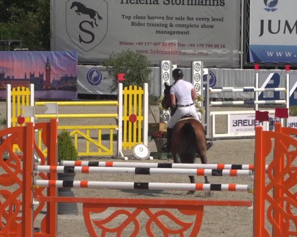 FEI Reitturnier Eschweiler (GER) 2020