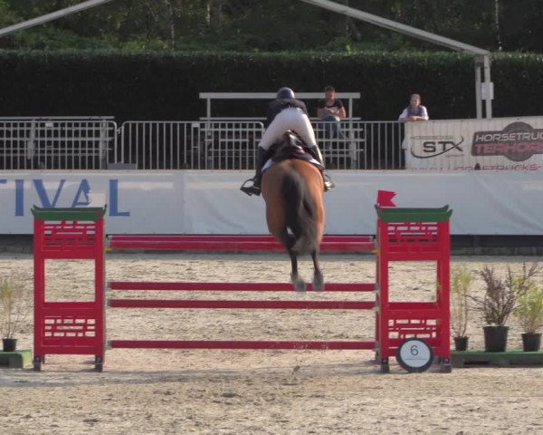 FEI Reitturnier Eschweiler (GER) 2020