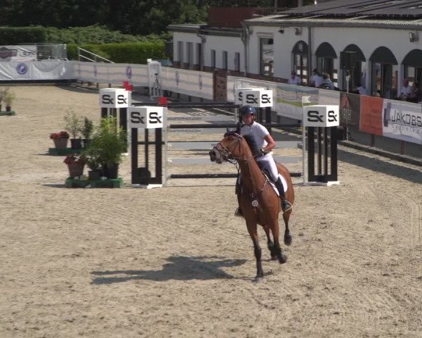 FEI Reitturnier Eschweiler (GER) 2020