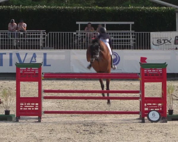 FEI Reitturnier Eschweiler (GER) 2020