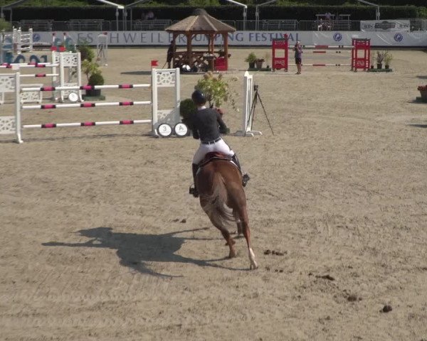 FEI Reitturnier Eschweiler (GER) 2020