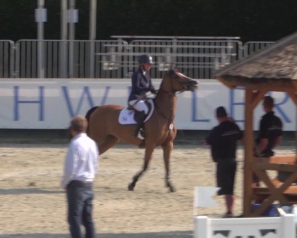 FEI Reitturnier Eschweiler (GER) 2020