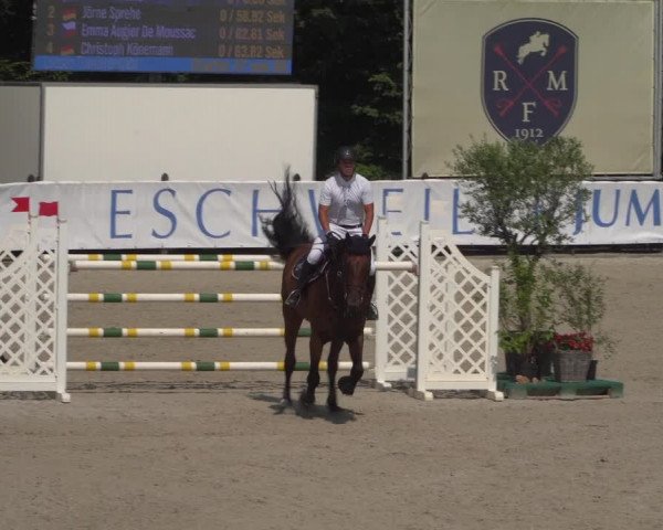 FEI Reitturnier Eschweiler (GER) 2020