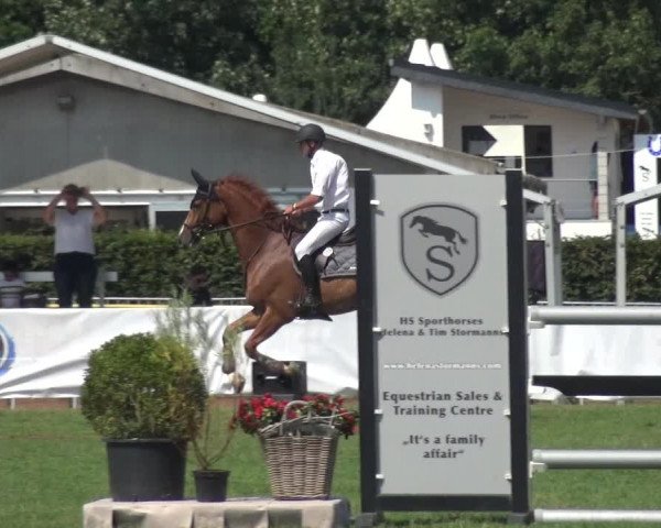 FEI Reitturnier Eschweiler (GER) 2020