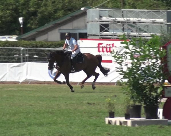 FEI Reitturnier Eschweiler (GER) 2020