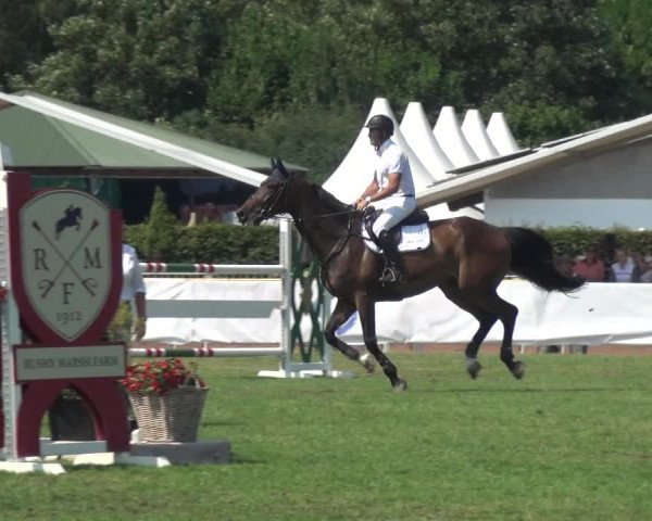 FEI Reitturnier Eschweiler (GER) 2020