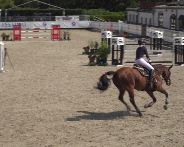 FEI Reitturnier Eschweiler (GER) 2020