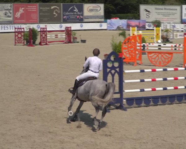 FEI Reitturnier Eschweiler (GER) 2020