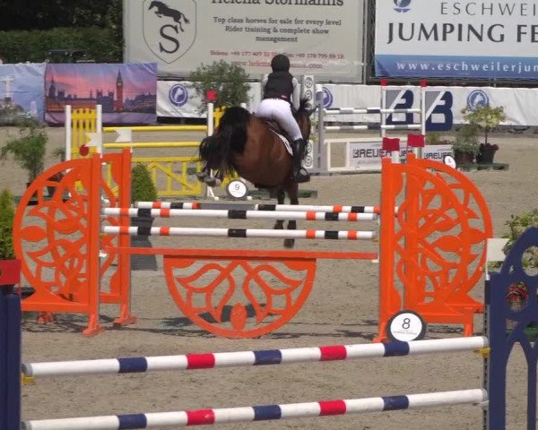 FEI Reitturnier Eschweiler (GER) 2020