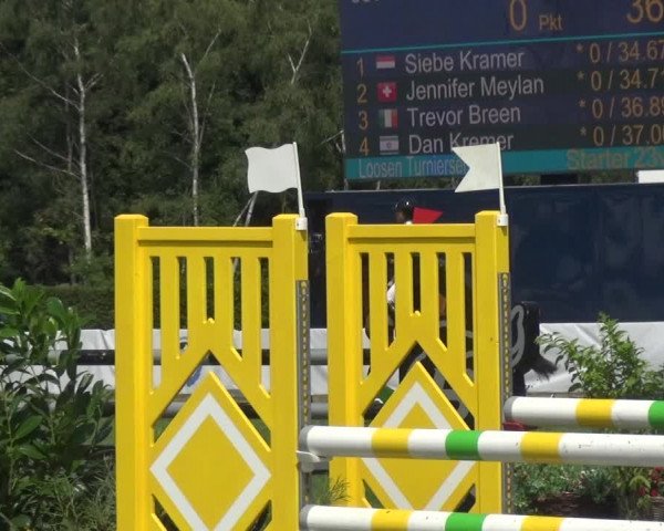 FEI Reitturnier Eschweiler (GER) 2020