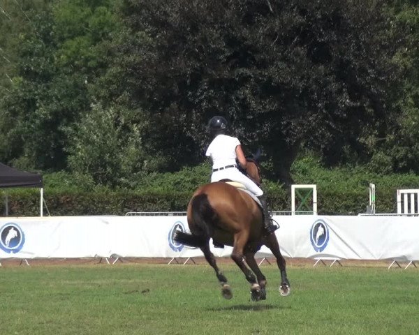 FEI Reitturnier Eschweiler (GER) 2020