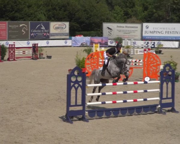 FEI Reitturnier Eschweiler (GER) 2020
