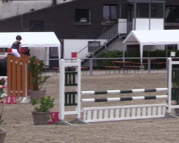 Reitturnier Datteln 2020