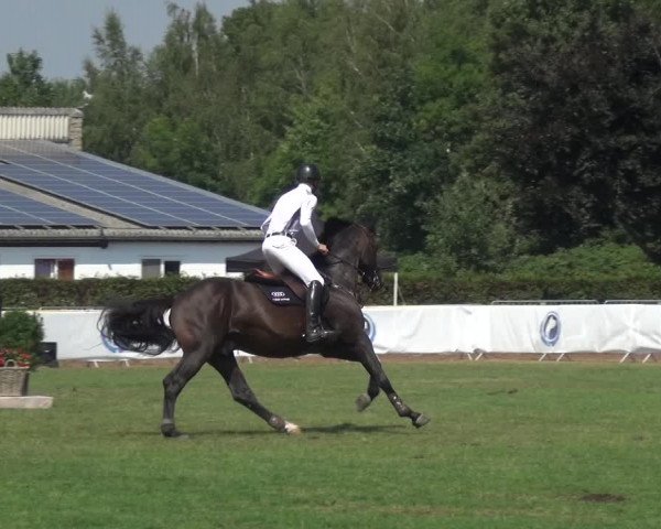 FEI Reitturnier Eschweiler (GER) 2020