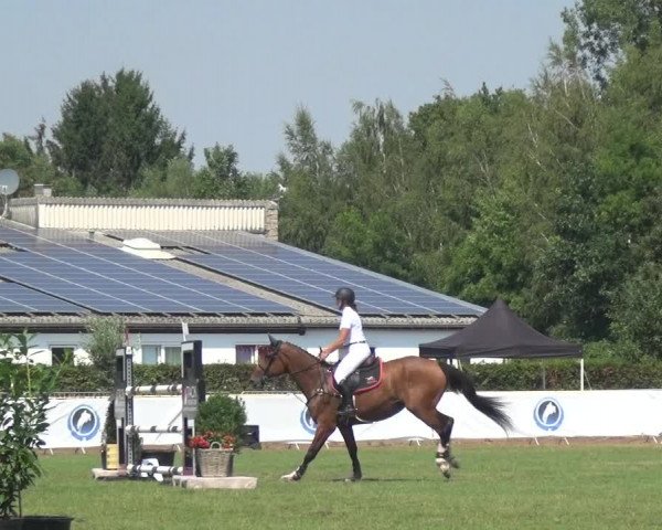 FEI Reitturnier Eschweiler (GER) 2020