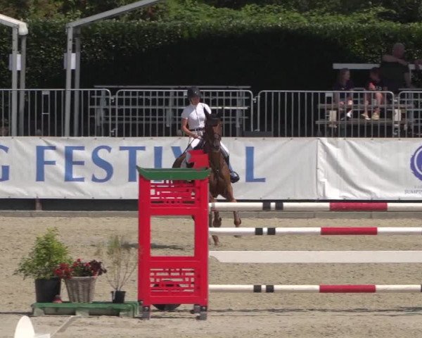 FEI Reitturnier Eschweiler (GER) 2020