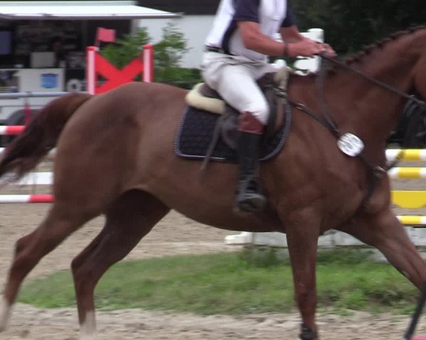Reitturnier Datteln 2020