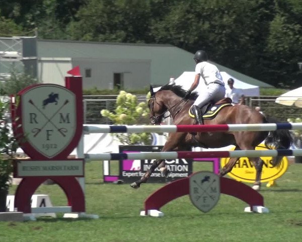 FEI Reitturnier Eschweiler (GER) 2020