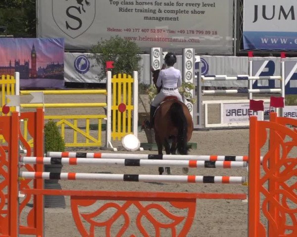 FEI Reitturnier Eschweiler (GER) 2020