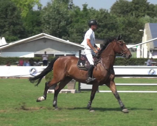 FEI Reitturnier Eschweiler (GER) 2020