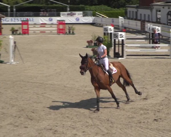 FEI Reitturnier Eschweiler (GER) 2020