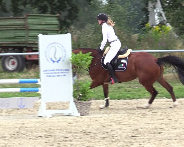 Reitturnier Datteln 2020