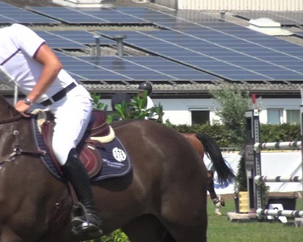 FEI Reitturnier Eschweiler (GER) 2020