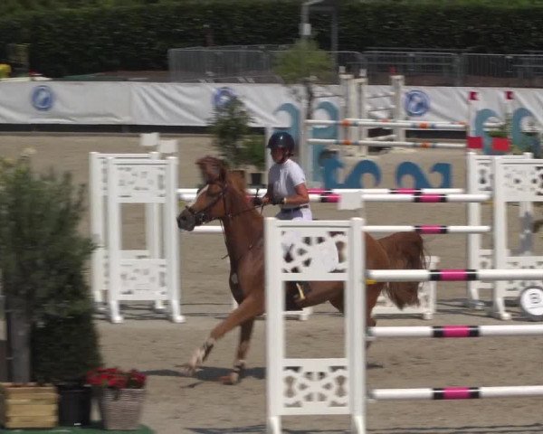 FEI Reitturnier Eschweiler (GER) 2020