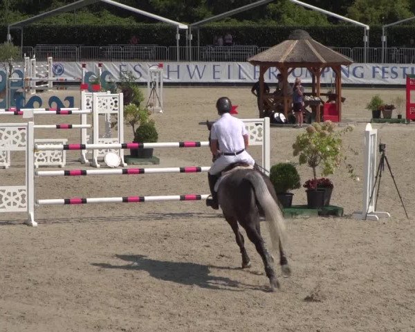FEI Reitturnier Eschweiler (GER) 2020