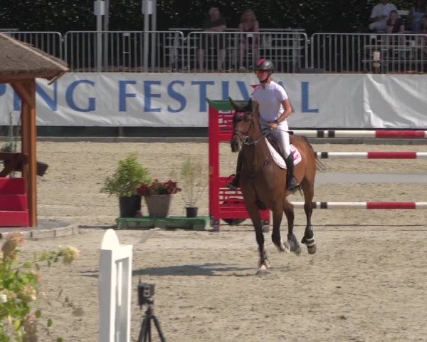 FEI Reitturnier Eschweiler (GER) 2020