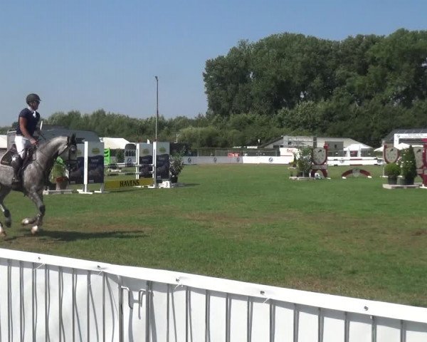 FEI Reitturnier Eschweiler (GER) 2020