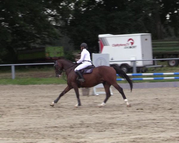 Reitturnier Datteln 2020