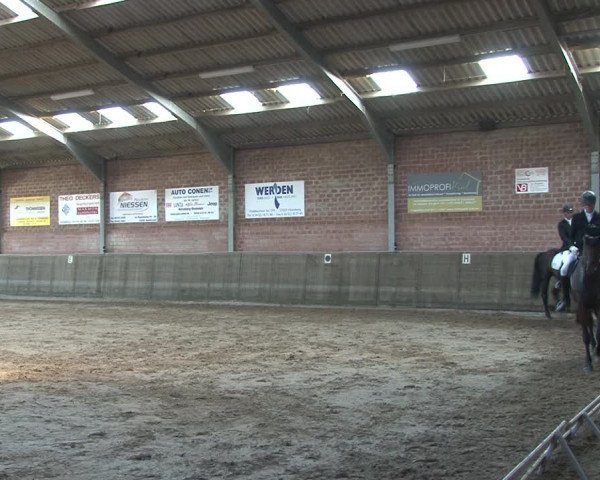 Reitturnier Kirchhoven-Vinn 2020