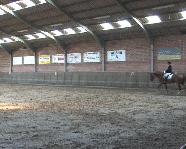 Reitturnier Kirchhoven-Vinn 2020
