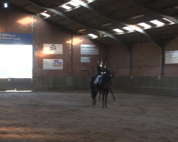 Reitturnier Kirchhoven-Vinn 2020