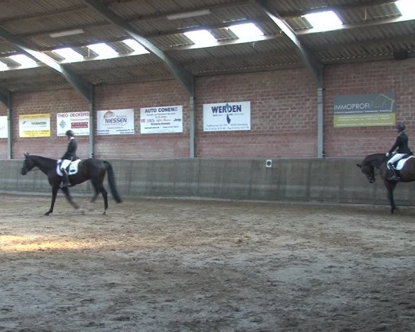 Reitturnier Kirchhoven-Vinn 2020