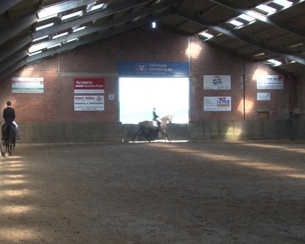 Reitturnier Kirchhoven-Vinn 2020