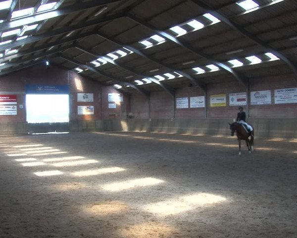 Reitturnier Kirchhoven-Vinn 2020