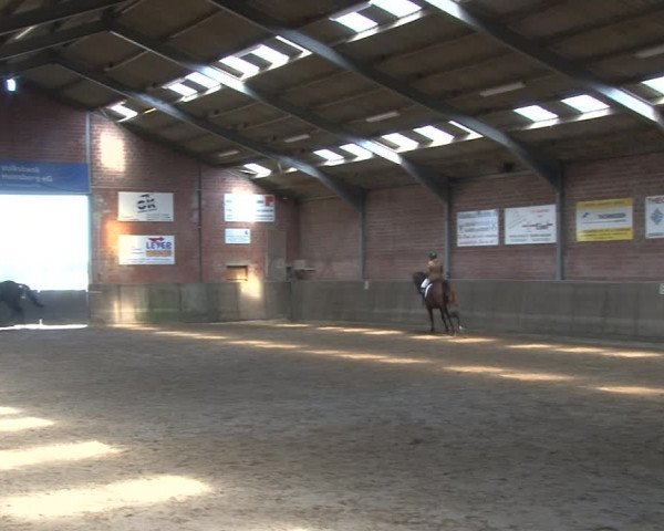 Reitturnier Kirchhoven-Vinn 2020