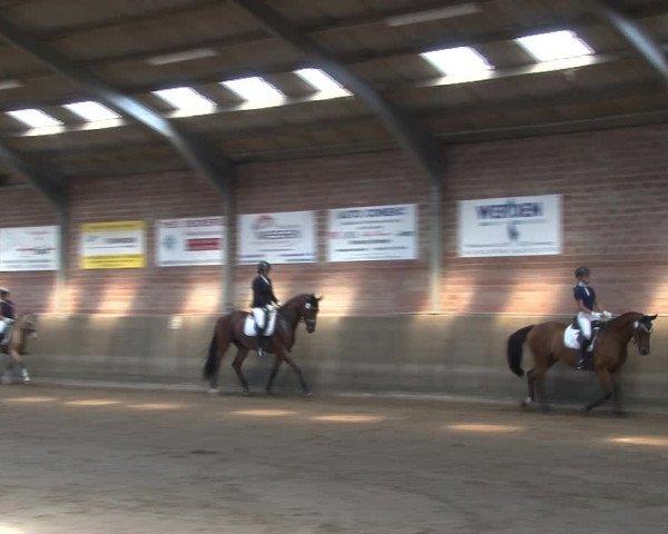 Reitturnier Kirchhoven-Vinn 2020