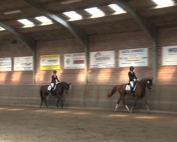 Reitturnier Kirchhoven-Vinn 2020
