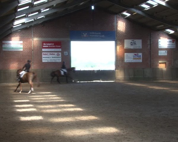 Reitturnier Kirchhoven-Vinn 2020