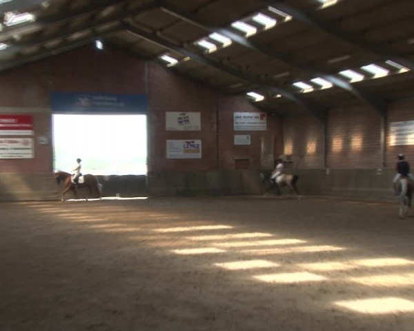 Reitturnier Kirchhoven-Vinn 2020