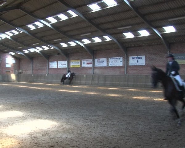 Reitturnier Kirchhoven-Vinn 2020