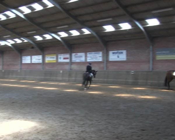 Reitturnier Kirchhoven-Vinn 2020