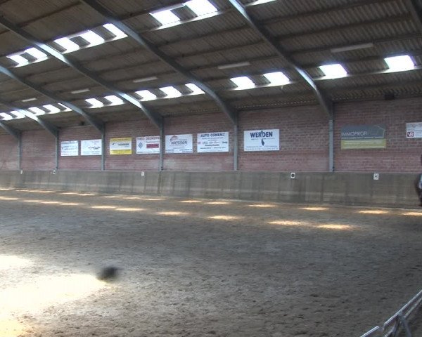 Reitturnier Kirchhoven-Vinn 2020