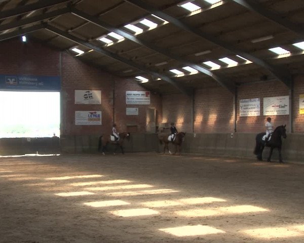 Reitturnier Kirchhoven-Vinn 2020