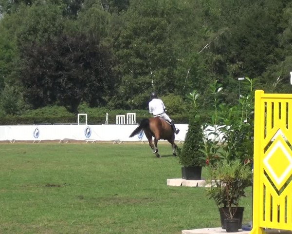 FEI Reitturnier Eschweiler (GER) 2020