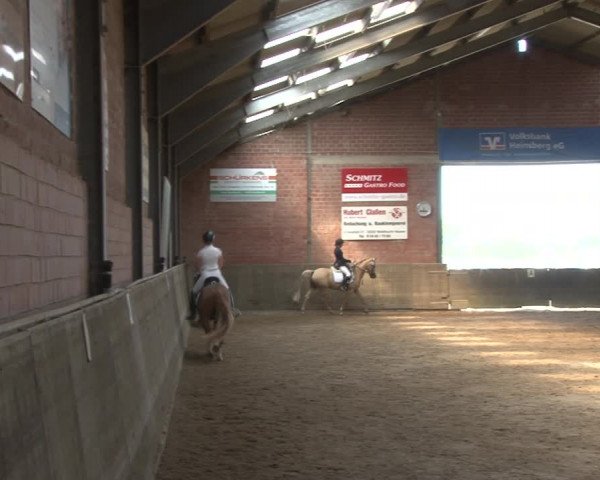 Reitturnier Kirchhoven-Vinn 2020